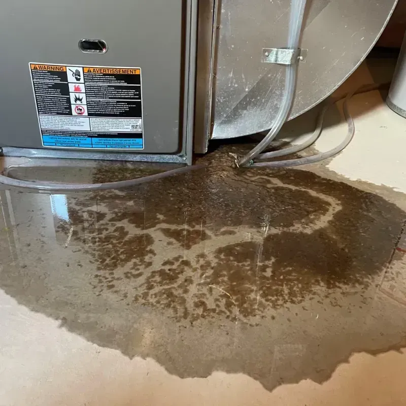 Appliance Leak Cleanup in Lookout Mountain, GA